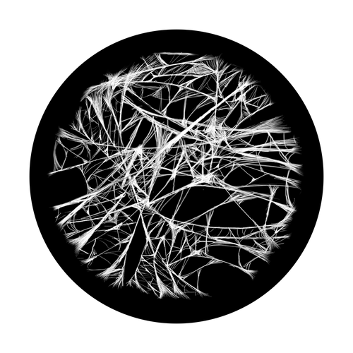 Apollo Spider Web - SR-0160