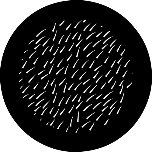 Rosco Thorn Fir Metal Gobo #  78713