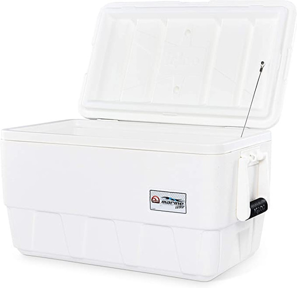 36 Qt Cooler does not include cushion