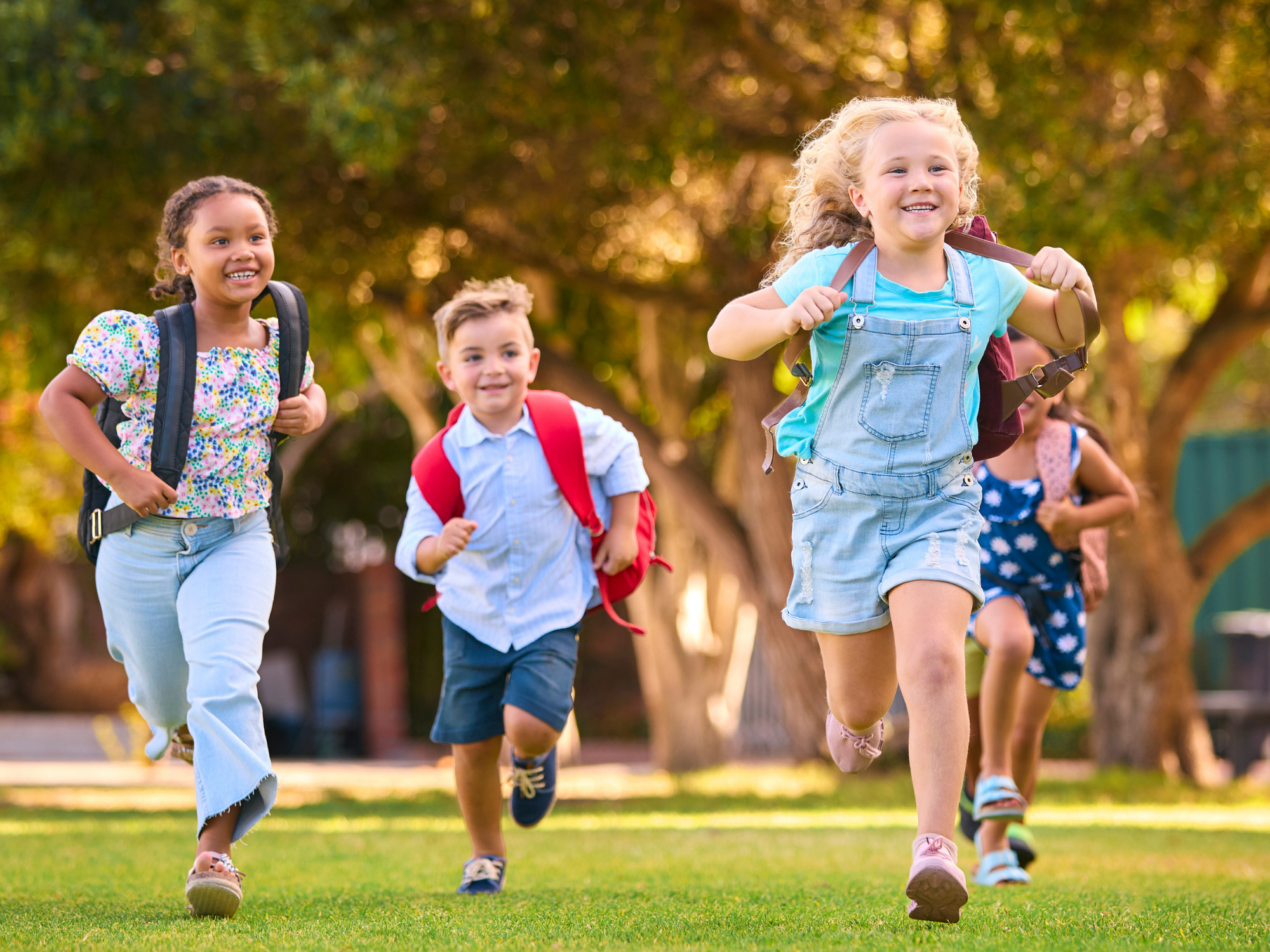 Zet hem nu in: de eindsprint in rekenen en taal