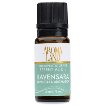 Ravensara Essential Oil 10ml. (1/3oz.)