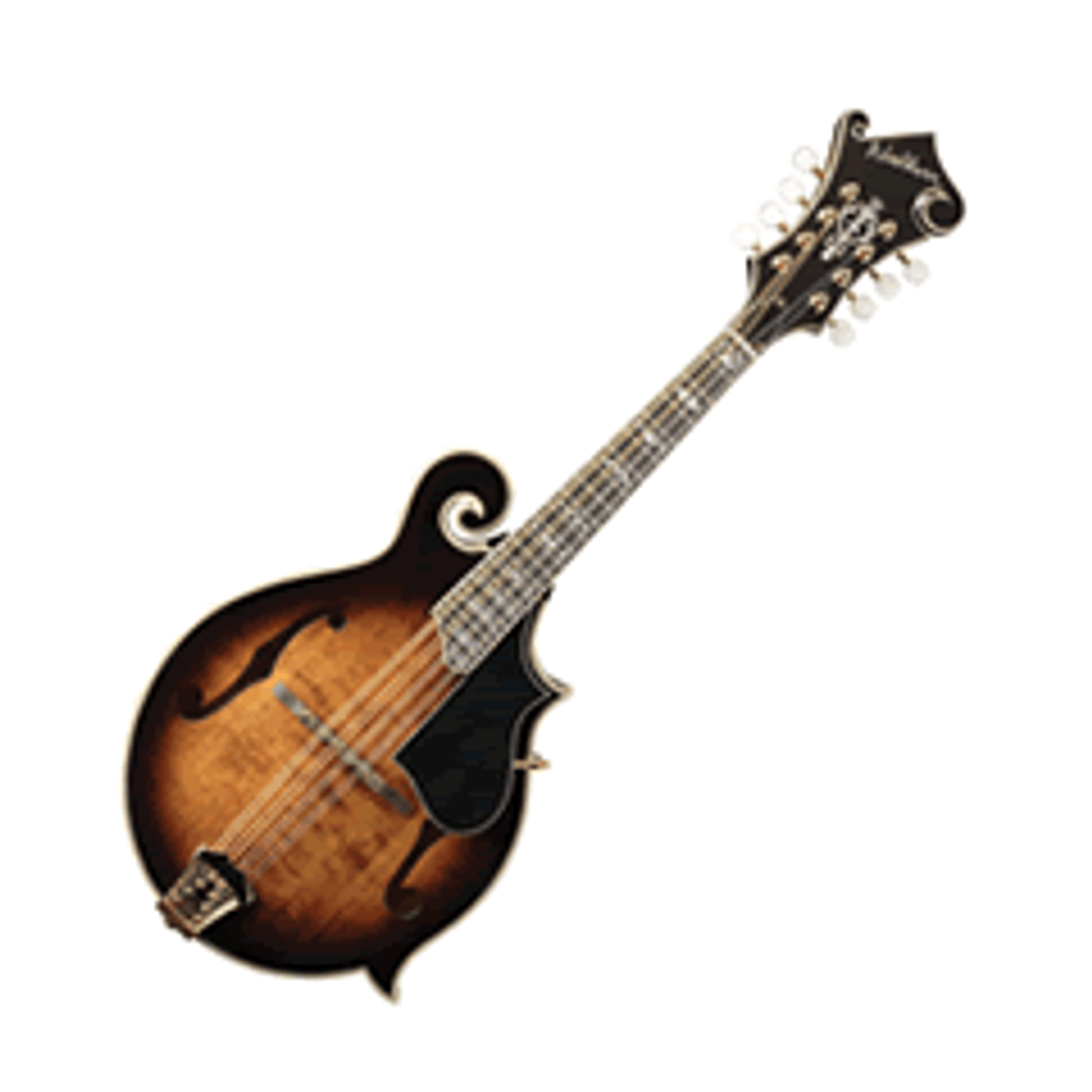 Folk Instruments Mandolins bmusic