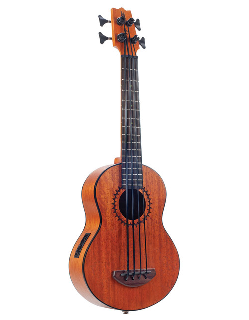 Aria FEB-F2/FL Elecord Fretless Acoustic/Electric Bass - Stained