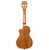 Kala Hawaiian Koa Gloss Concert Ukulele with Pickup