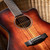 Cort Core-GA Blackwood Acoustic/Electric Guitar