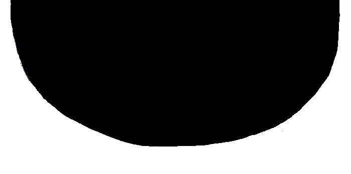 Neck Grip Shape