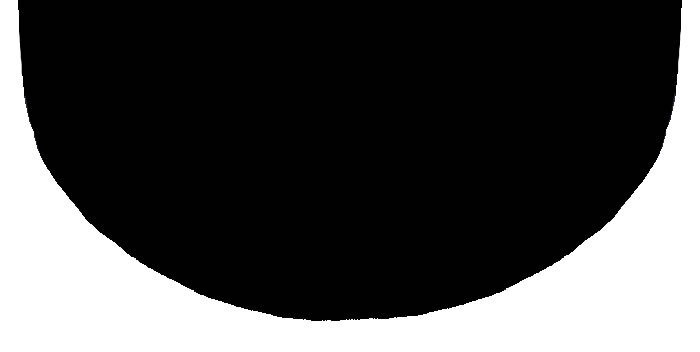 Neck Grip Shape