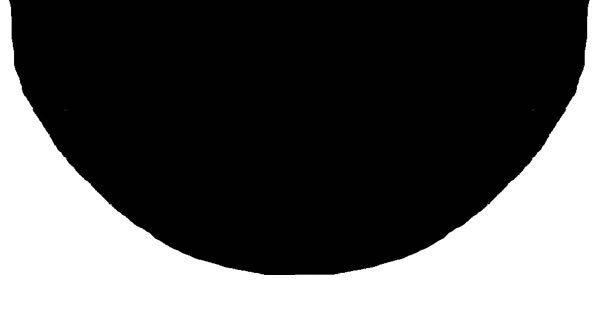 Neck Grip Shape