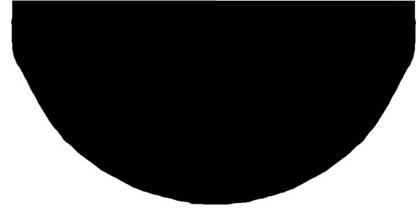 Neck Grip Shape