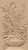 Folding Screen_____Carved_____496