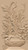 Door_____Carved____496
