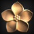 Rosette_____Carved_____0664