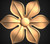 Rosette_____Carved_____0488