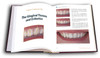 Anterior Anatomy and the Science of a Natural Smile TechBook