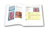 Anterior Anatomy and The Science of a Natural Smile TechMaster Module