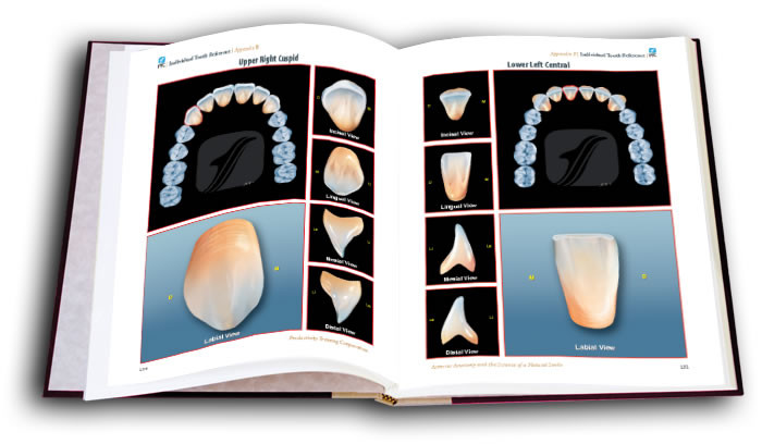 Anterior Anatomy and the Science of a Natural Smile TechBook