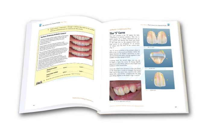 Anterior Dental Anatomy workbook