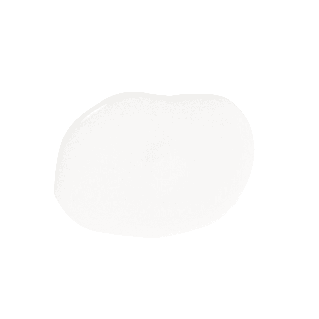 Makeup Setting Spray | Leaves Skin Feeling Dewy | New!