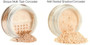 $10 Refills - Mineral Concealer | Corrector | 13 colors