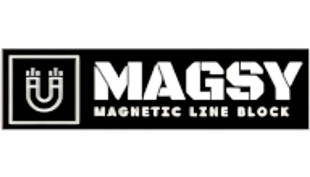 Magsy