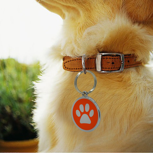 Custom Pet Id tag