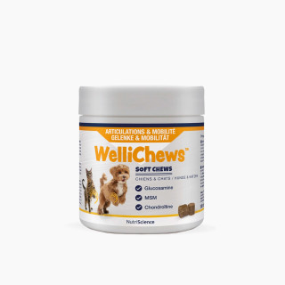 WelliChews™ Soft Chews Articulations et Mobilité
