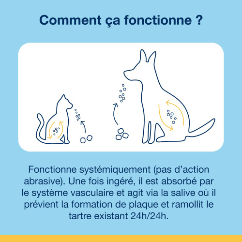 Soft Chews - bouchées moelleuses pour chiens