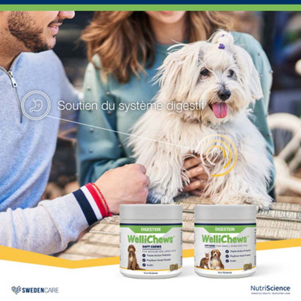 WelliChews™ Digestion Soft Chews