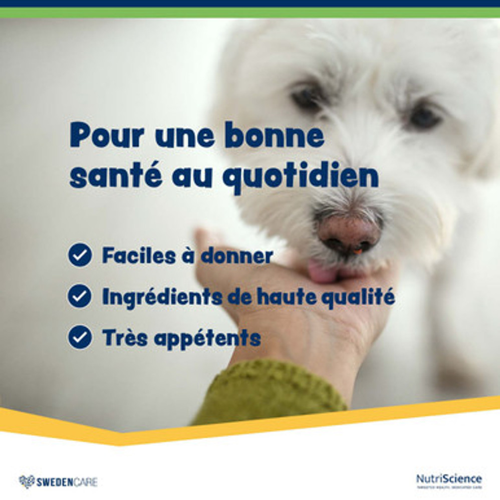 WelliChews™ Digestion Soft Chews