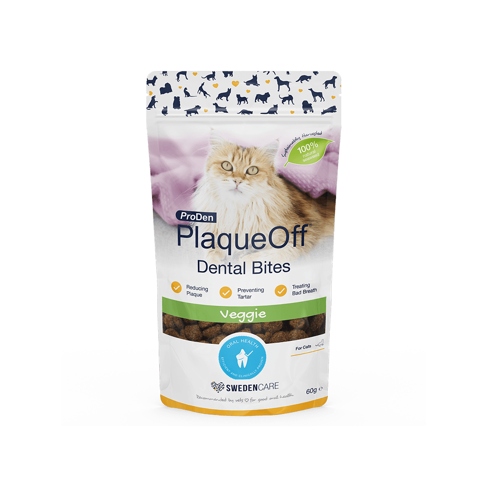 ProDen PlaqueOff® Dental Croq’