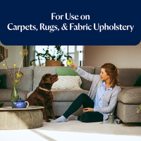 SpotClean Spot & Stain 2x Concentrate Formula (473ml)