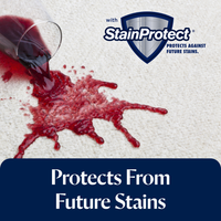 Professional Stain & Odour Formula (750ml)