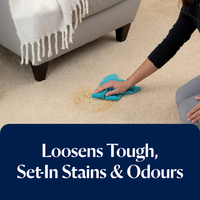 Pet Pro Oxy Stain Destroyer (650ml)