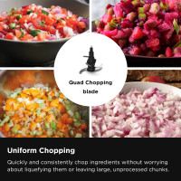 Professional Food Processor