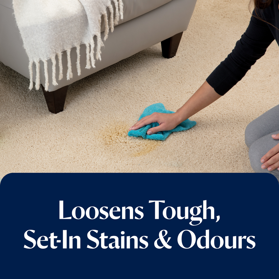 Pet Stain Pretreat (650ml)