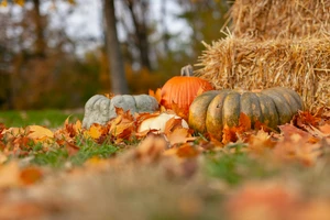 The 2026 Fall Home Prep Checklist: 7 Things to Check Before Cold Weather Arrives 