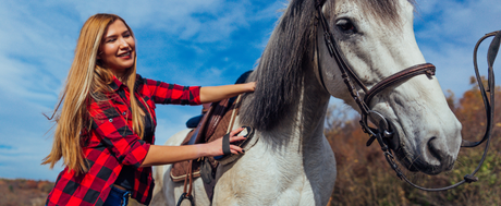 Horse Grooming Made Easy