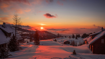 Can a Tankless Water Heater Freeze? 8 Ways to Protect It Before Winter 