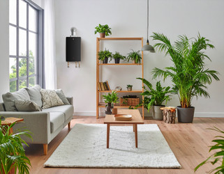 Why Choose an Indoor Tankless Water Heater for Your Home 