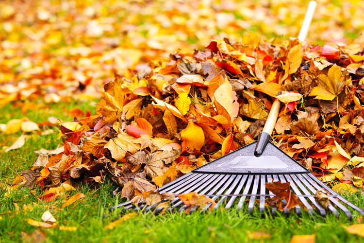 Your Fall Checklist: How to Prepare Your Home