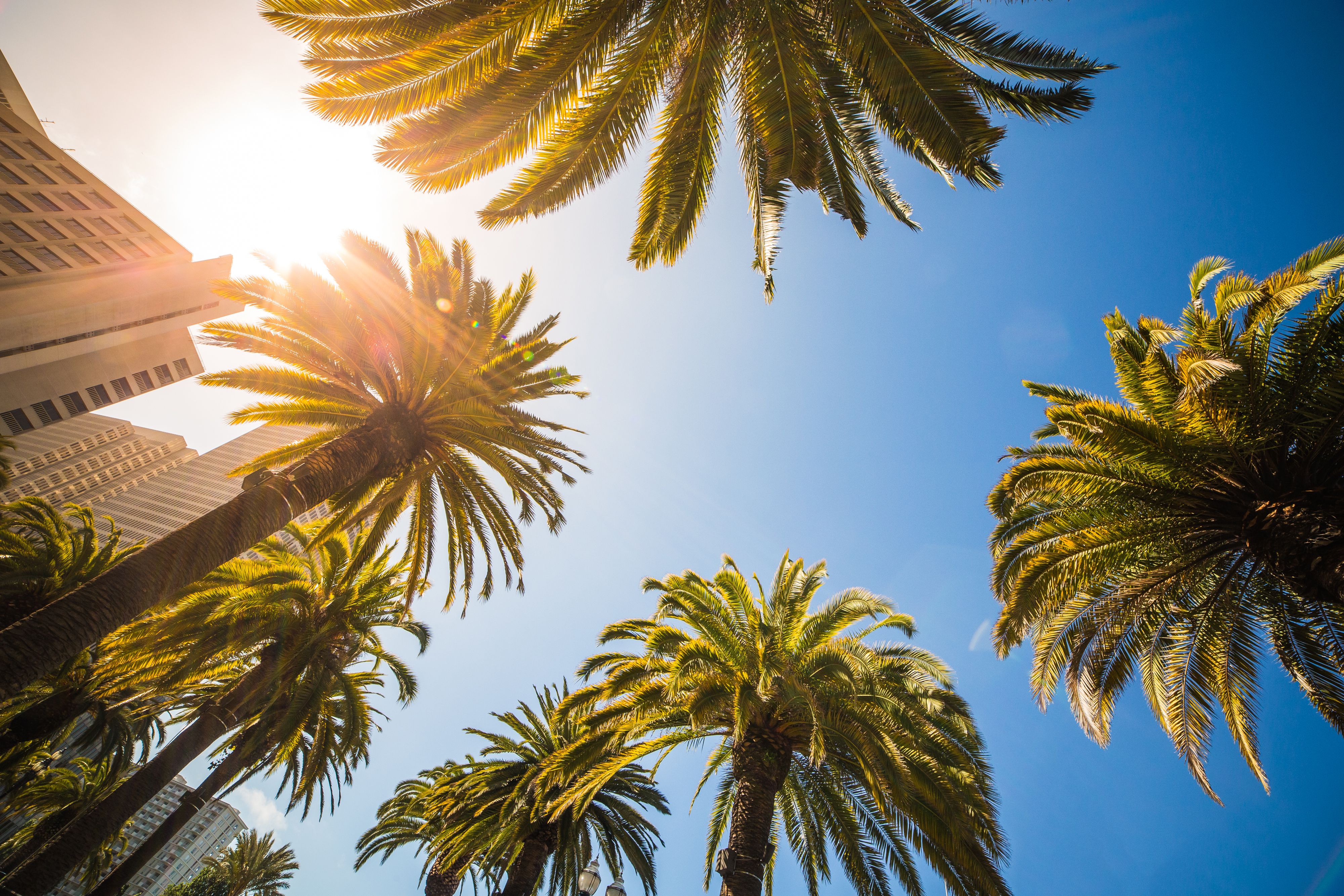 Heatwave-Proof Your Home: How Tankless Water Heaters Perform When Temps Soar 