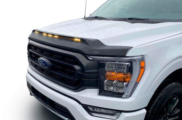 Ventshade Aeroskin Light Shield 21- Ford F150 753196