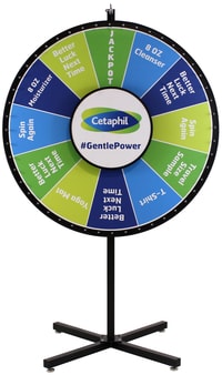 48-custom-prize-wheel-cetaphil-optim.jpg