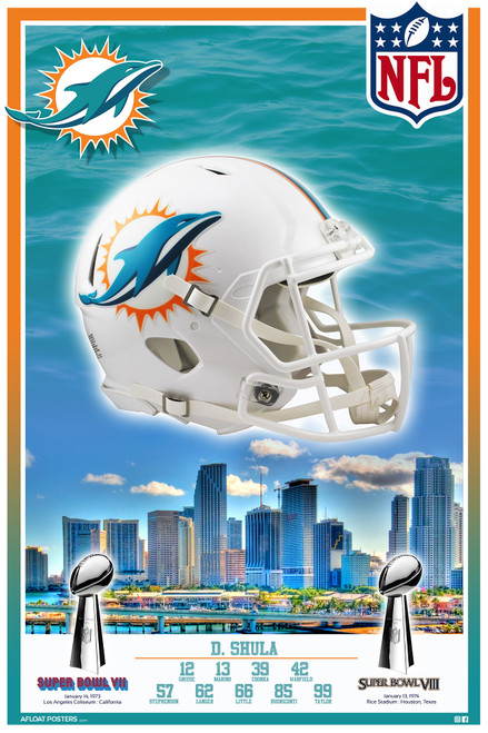 Miami Dolphins Super Bowl Poster