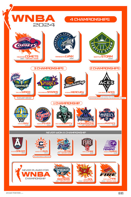 WNBA History Poster WNBA History Poster