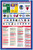 NBA History Poster
