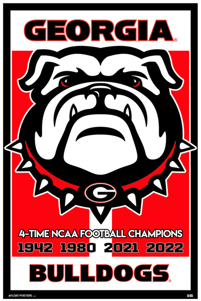 Georgia Poster