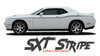 Dodge Challenger SXT SIDE STRIPE Factory OEM Side Door Body Vinyl Graphic Stripes 2011 2012 2013 2014 2015 2016 2017 2018 2019 2020 2021 2022