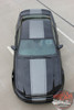 View of 2013-2014 Ford Mustang Center Stripe Kit VENOM KIT