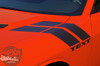 Side View of 2023 Dodge Challenger Fender Stripes DOUBLE BAR 2008-2023
